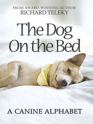 cover image of The Dog on the Bed
